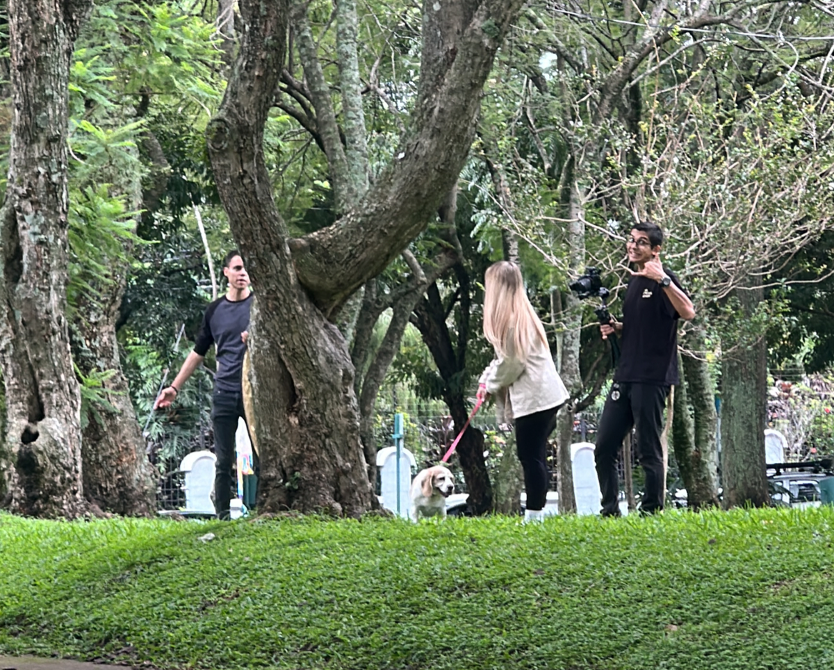 Who don't settle for the norm